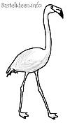 Malvorlage - Flamingo