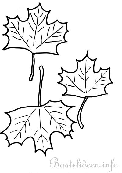 Herbstliche Bastelvorlage - Ahornbltter 1