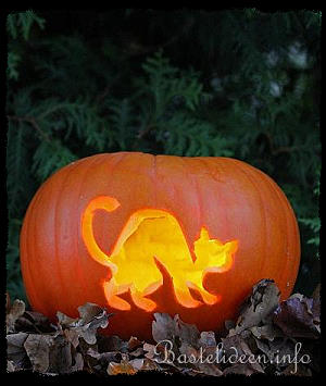 Halloweenbasteln - Katze Kürbis