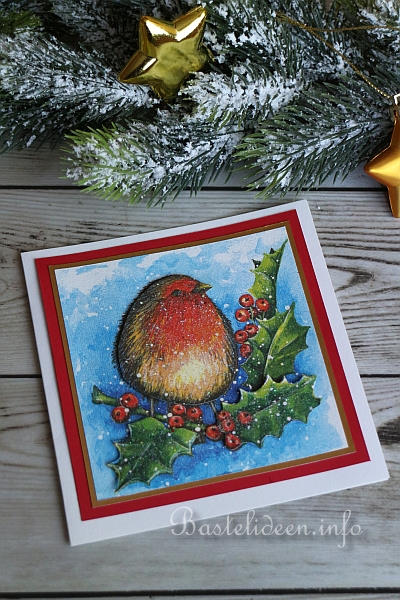 Rotkehlchen Weihnachtskarte