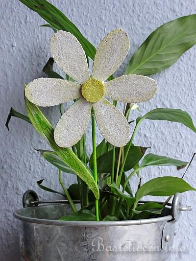 Frühlingsbasteln - Blume-Pflanzenstecker aus Kork
