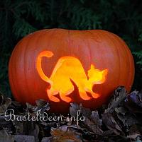 Halloweenbasteln - Katze Kürbis 