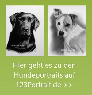 Hundeportraits auf 123Portrait