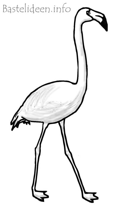 sommerbasteln  ausmalbild oder malvorlage  flamingo