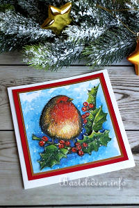 Rotkehlchen Weihnachtskarte 