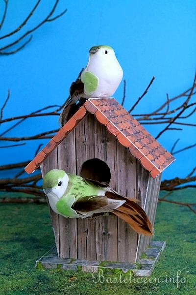 ein Vogelhaus aus Holz verzieren